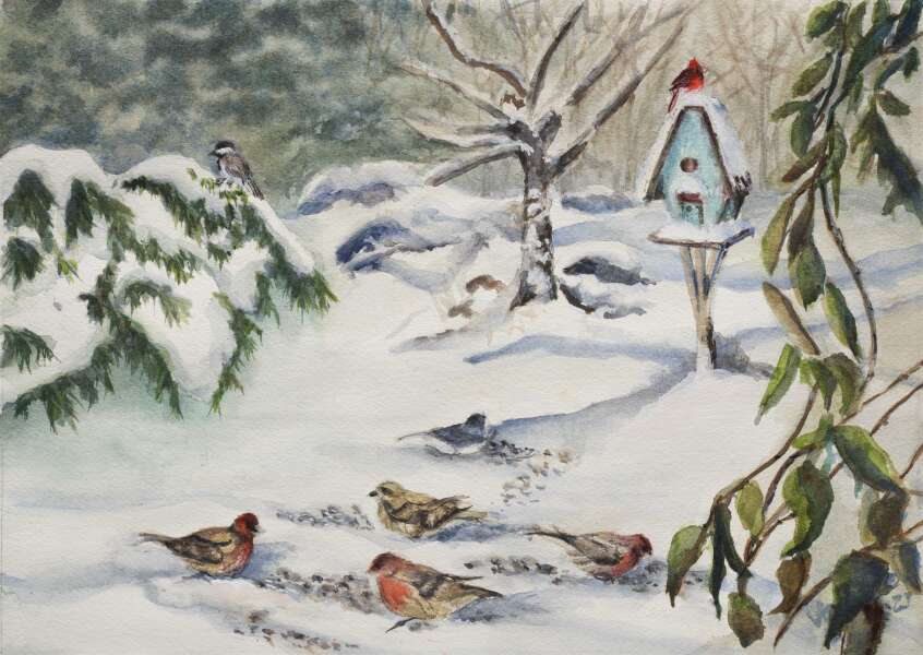 Feed the Birds