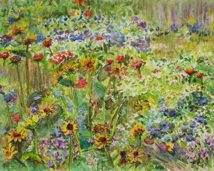 Summer field Summer field